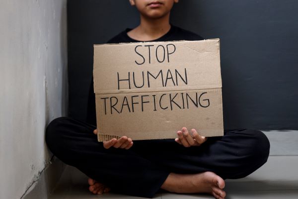 stop human trafficking, stop sexual assault, VAWA, TVPA, JVTA, Biden, Cindy McCain, save lives